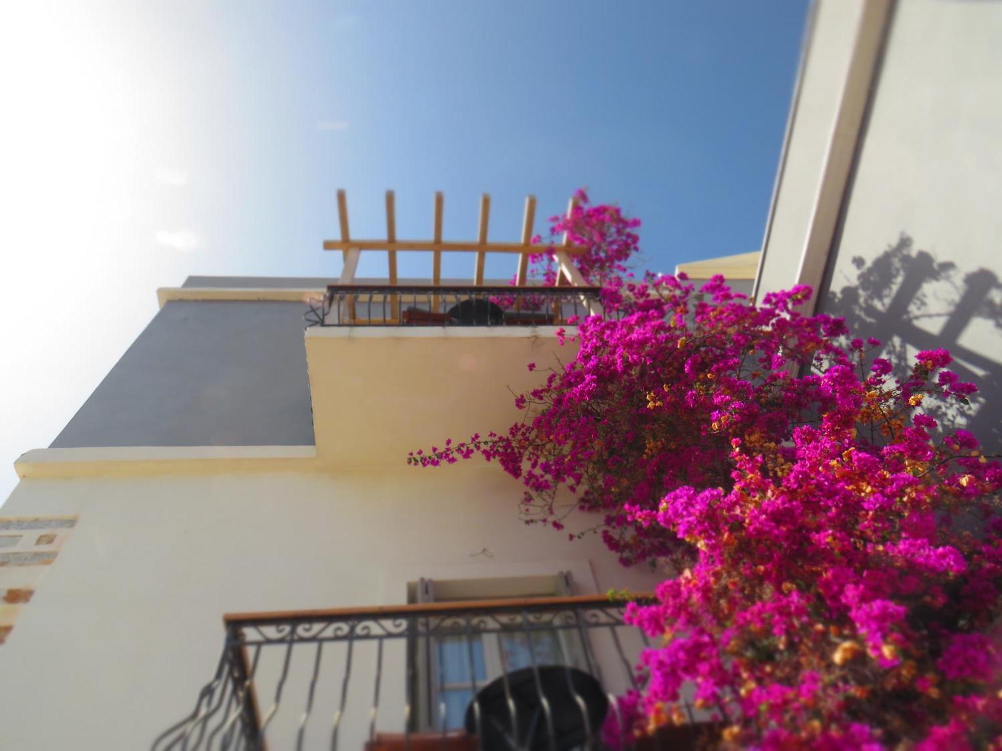 Axilleion Boutique Hotel Ermoupoli Exterior photo