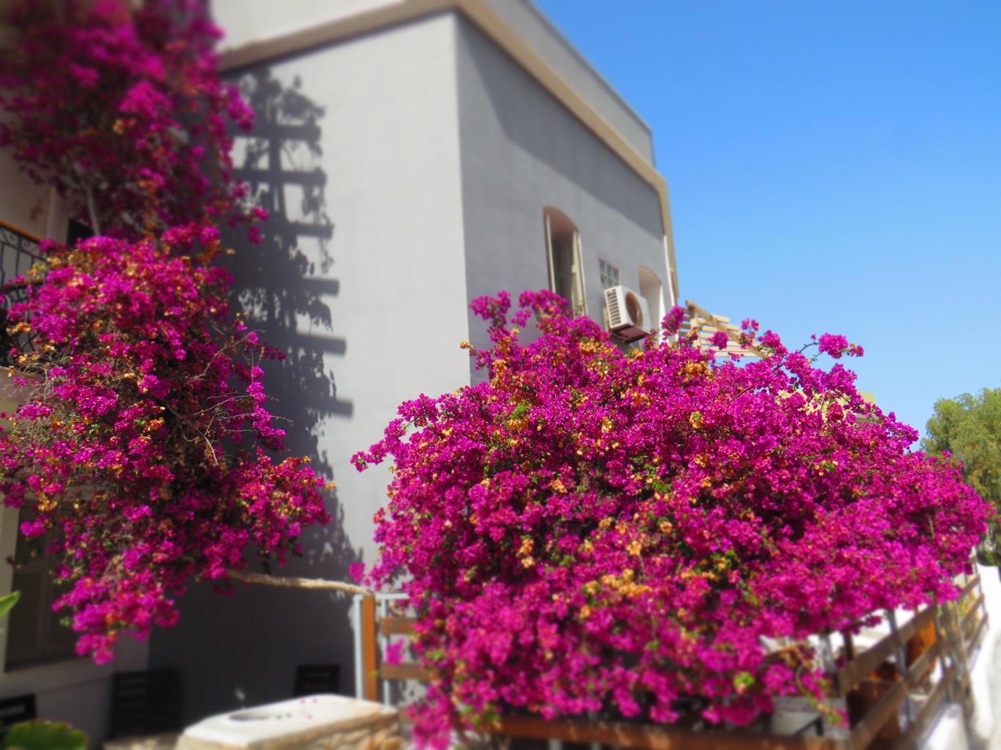 Axilleion Boutique Hotel Ermoupoli Exterior photo