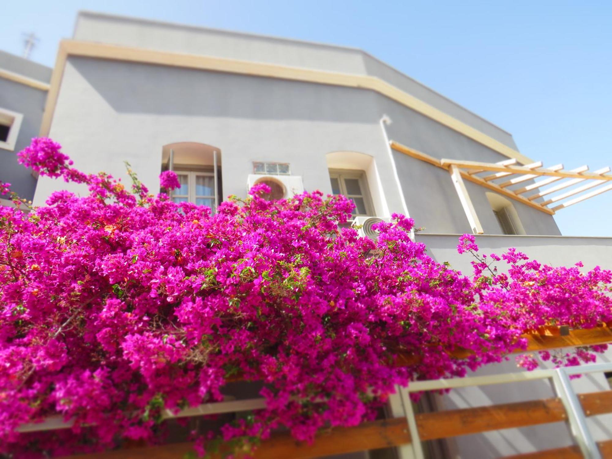 Axilleion Boutique Hotel Ermoupoli Exterior photo